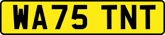 WA75TNT
