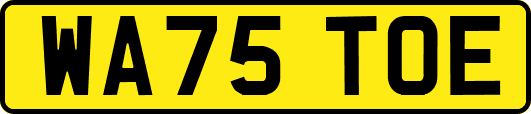 WA75TOE