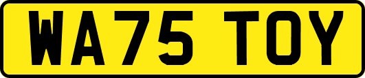 WA75TOY