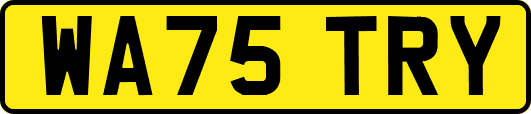 WA75TRY