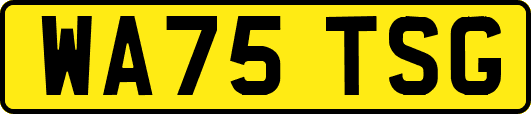WA75TSG