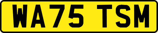 WA75TSM