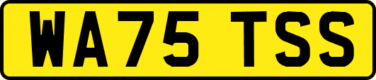 WA75TSS