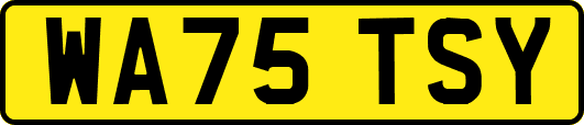WA75TSY