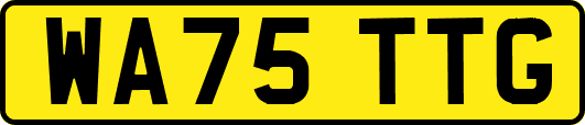 WA75TTG