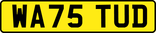 WA75TUD