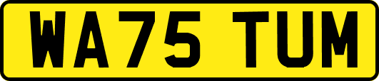 WA75TUM