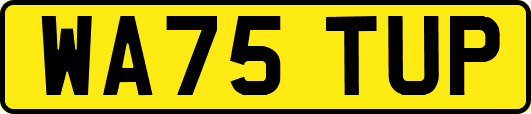 WA75TUP