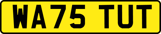 WA75TUT