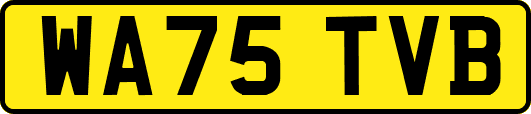 WA75TVB
