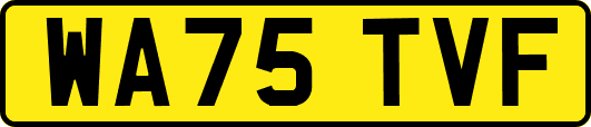 WA75TVF