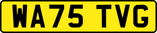 WA75TVG