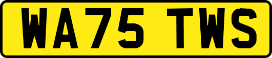 WA75TWS