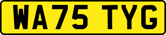 WA75TYG