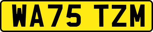 WA75TZM