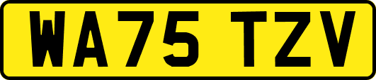 WA75TZV