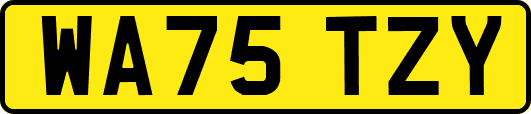 WA75TZY