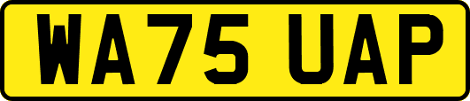 WA75UAP