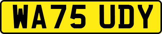 WA75UDY