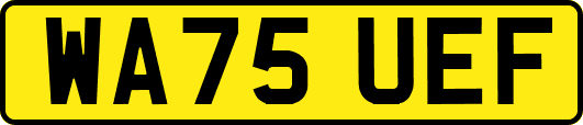 WA75UEF