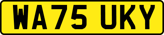 WA75UKY