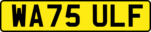 WA75ULF