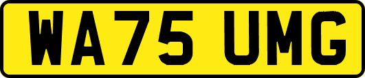 WA75UMG