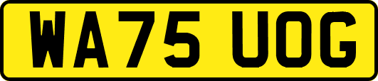 WA75UOG