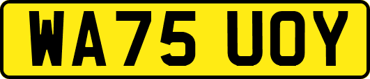 WA75UOY