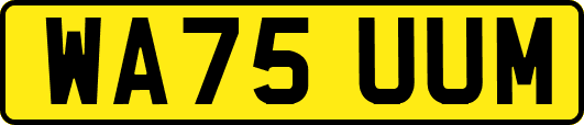 WA75UUM