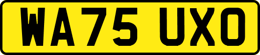 WA75UXO