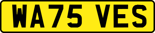 WA75VES