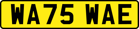 WA75WAE