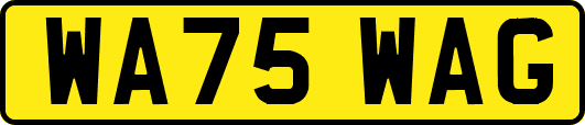 WA75WAG