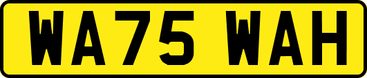 WA75WAH