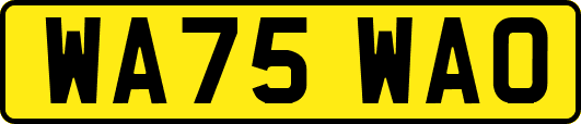 WA75WAO