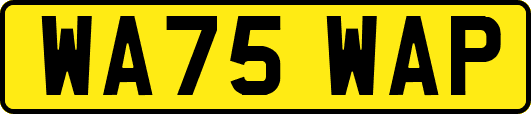 WA75WAP
