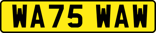 WA75WAW