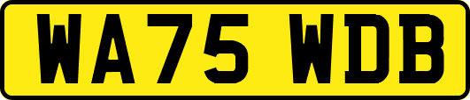 WA75WDB