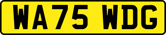 WA75WDG