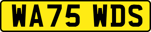 WA75WDS