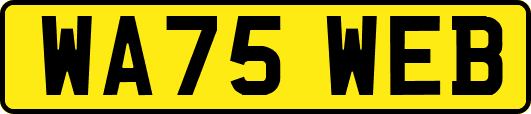WA75WEB