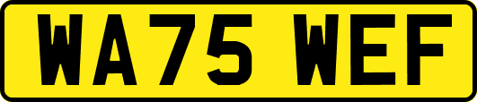 WA75WEF