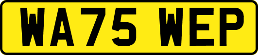 WA75WEP