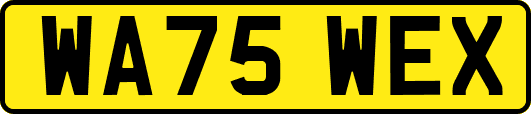 WA75WEX
