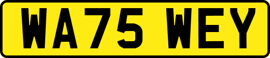 WA75WEY