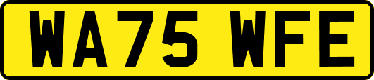 WA75WFE