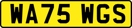 WA75WGS