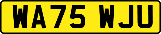 WA75WJU