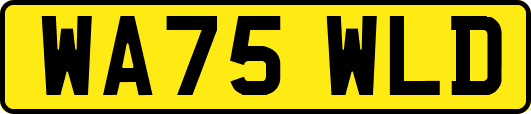 WA75WLD